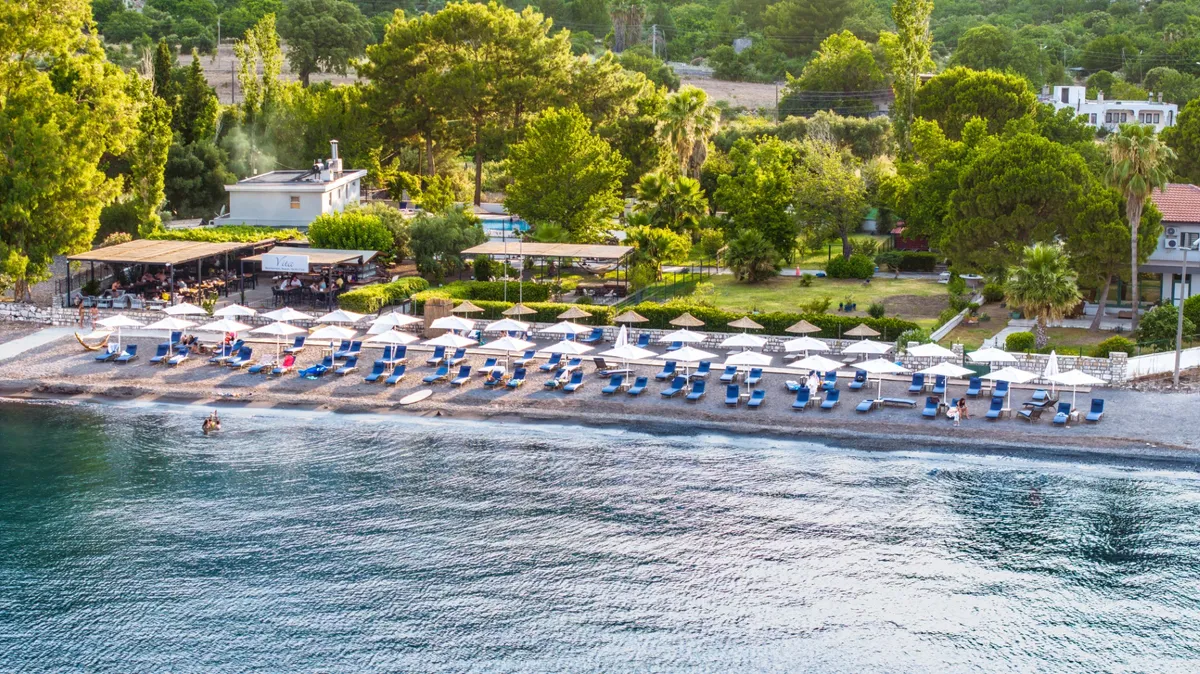 Akşama doğru plaj ve çam ormanı